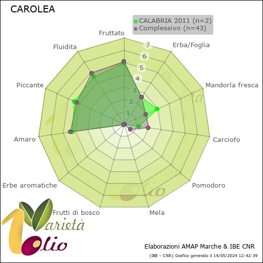 Profilo sensoriale medio della cultivar  CALABRIA 2011